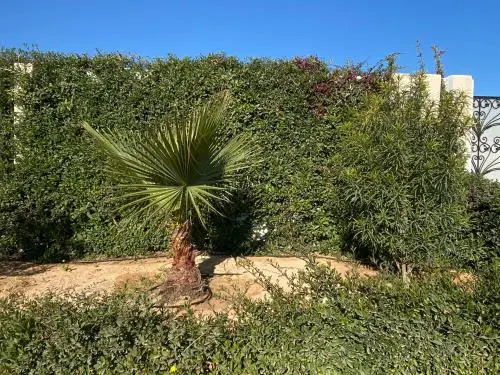 Belle Villa Avec Piscine sans vis a vis