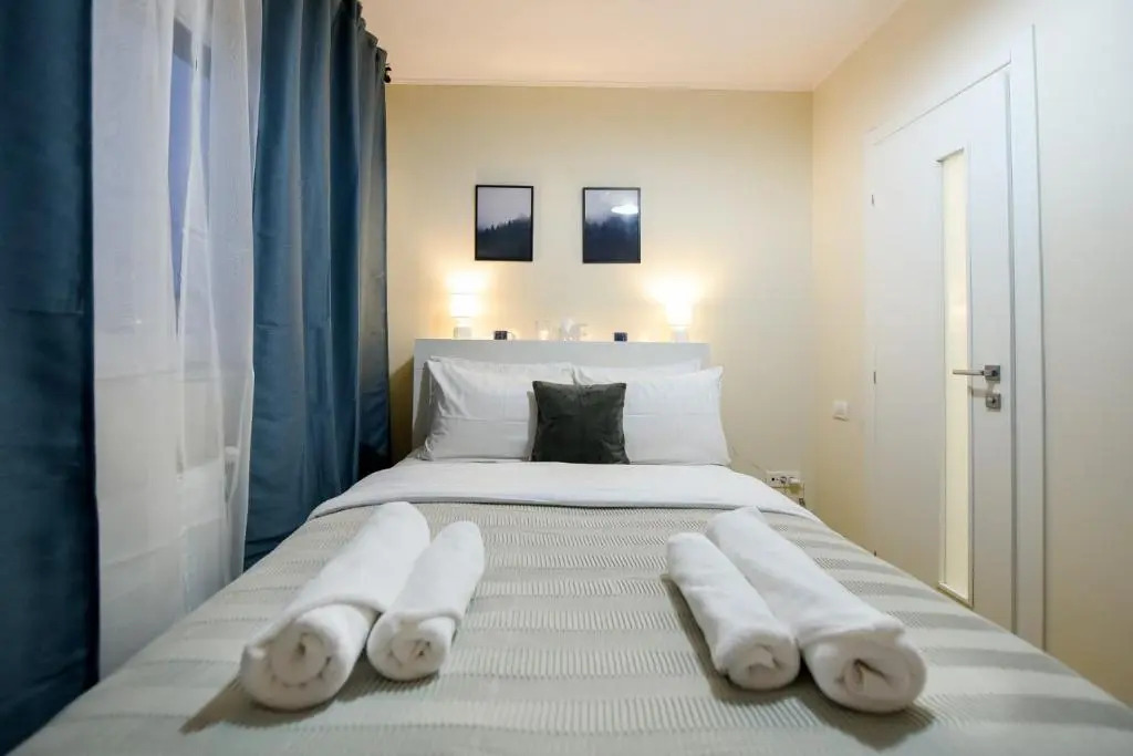 THE DREAM Apartment - Near Radisson Hotel