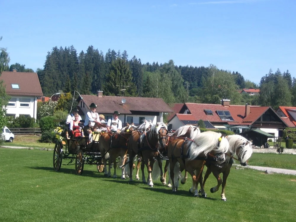 Haflingerhof