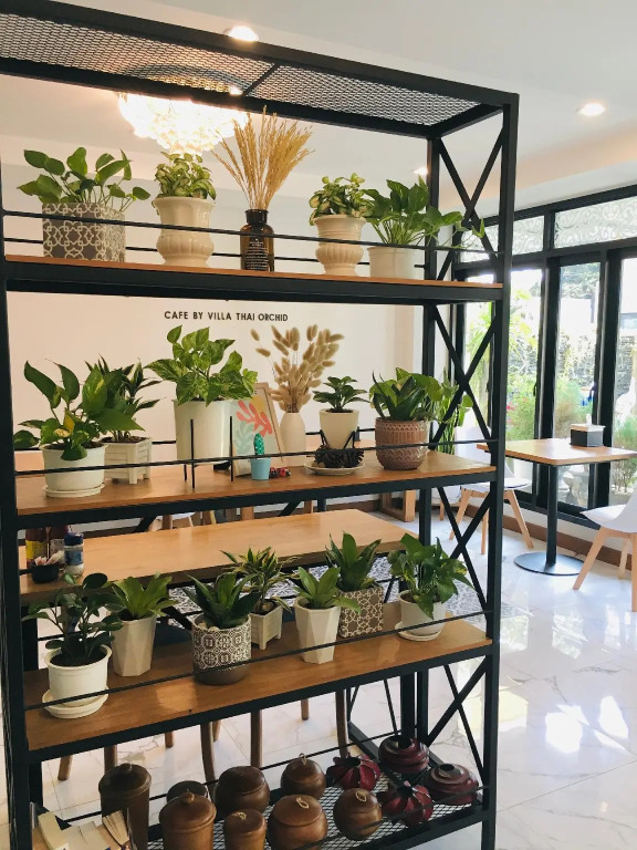 Villa Thai Orchid