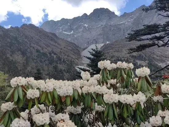 Qifengshan Homestay