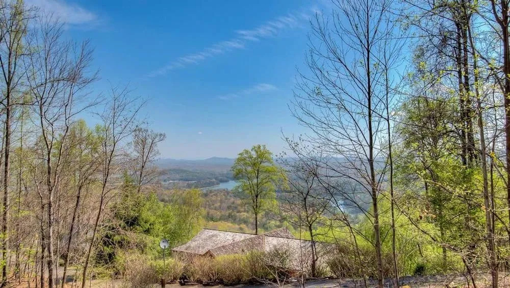 Bent Tree by Escape to Blue Ridge