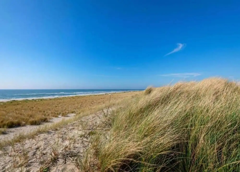 Holiday Home Near Dutch Beach and Dunes
