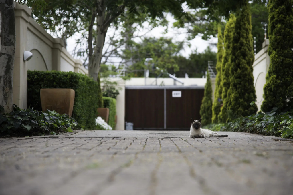 Arum Guest House