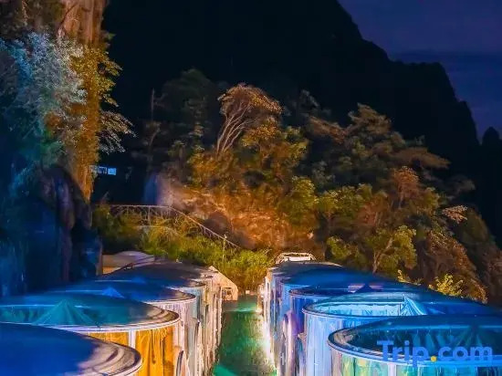 Uranus starry camping