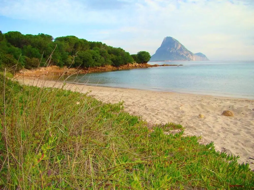 House With 2 Bedrooms in Porto Taverna, With Wonderful sea View and Terrace - 10 m From the Beach