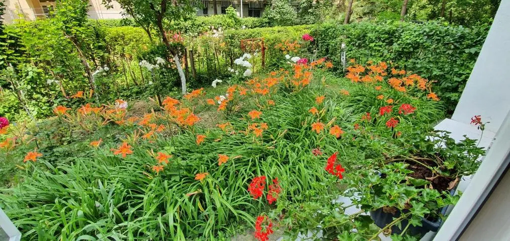 3 Rooms Apartment Airy & Bright Garden