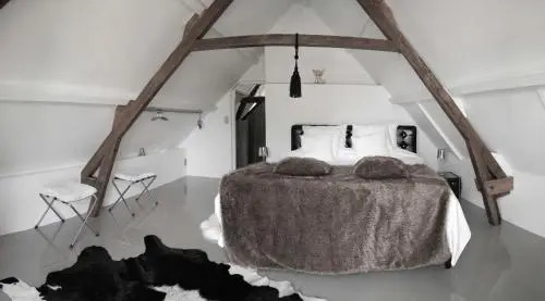 Paradise suite