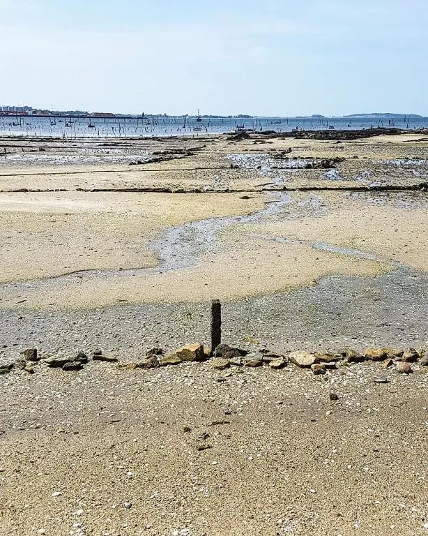 Vistas a la Ría de Arousa