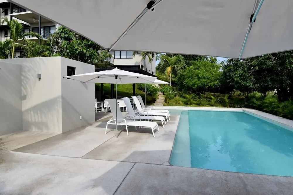Agaves 203