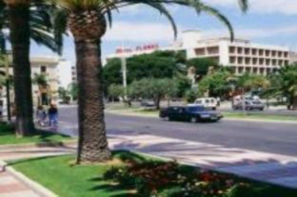 Hotel Planas