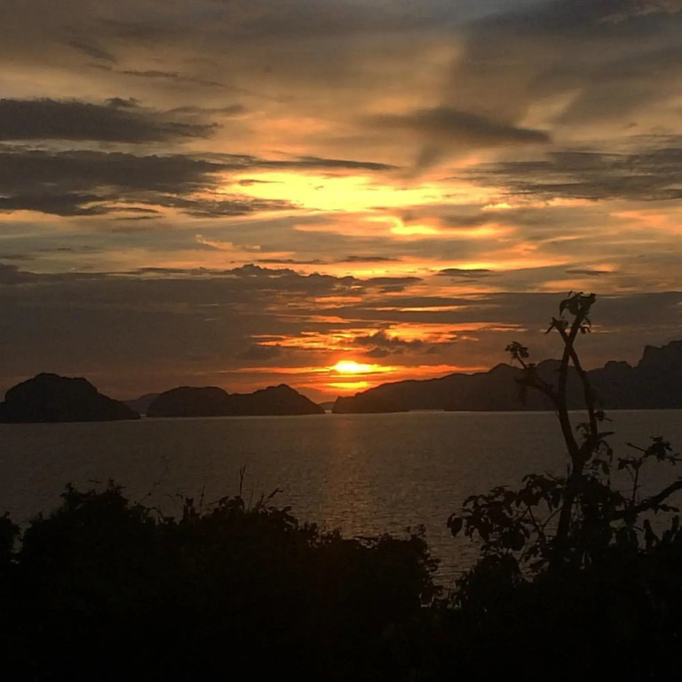 The Birdhouse El Nido - Glamping