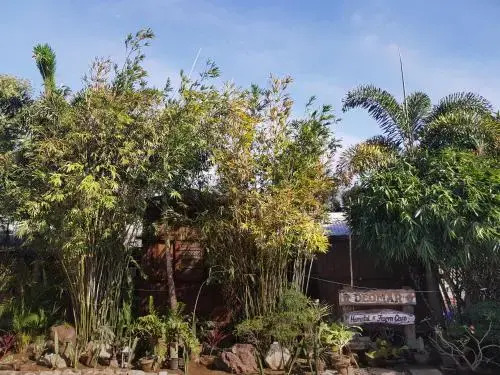 RedDoorz Hostel at Deomar Hometel & Farm Cafe Vigan Ilocos