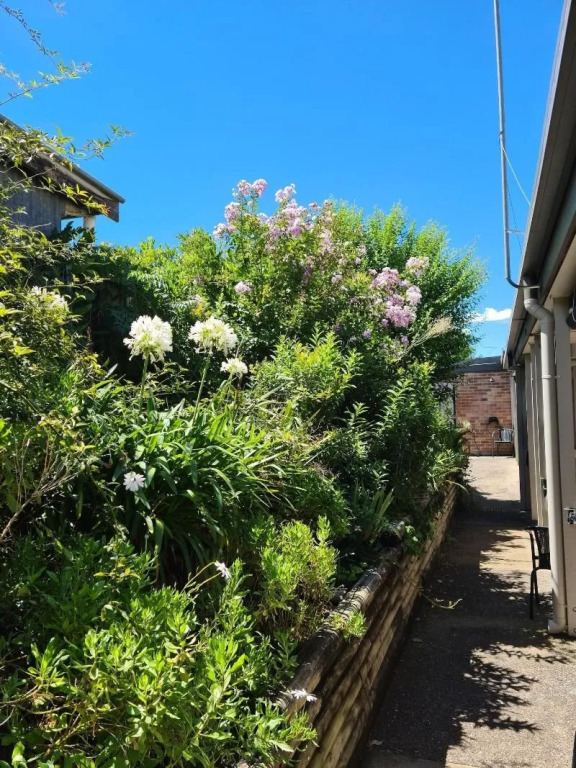 Henrys Quirindi