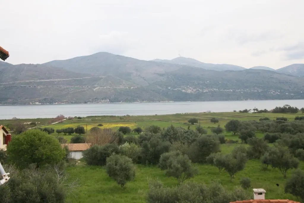 Panorama
