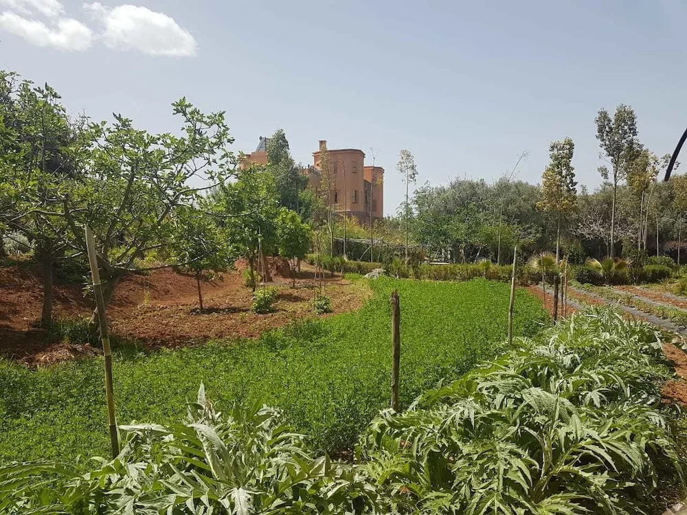 Ecolodge Tamount