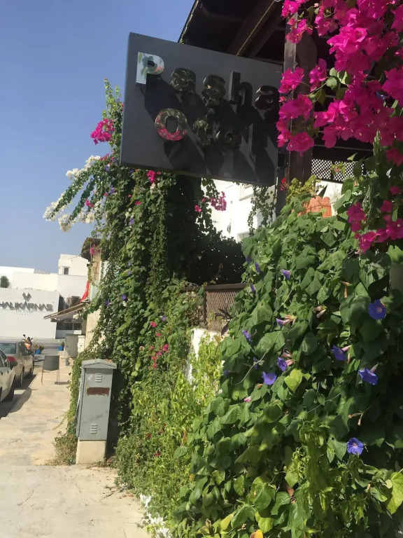 Pasha Motel