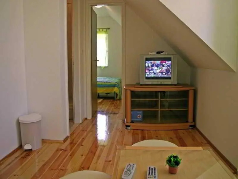 Apartment Miletic