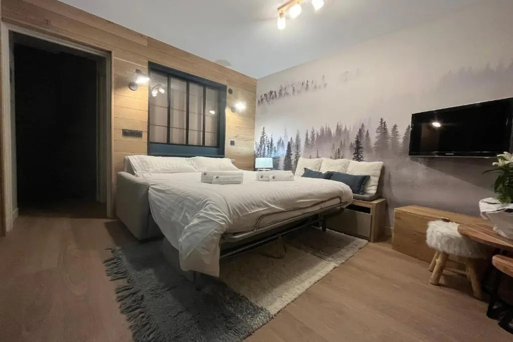 IMMOGROOM - Total renovation 2023 - At the foot of the slopes - Wifi -