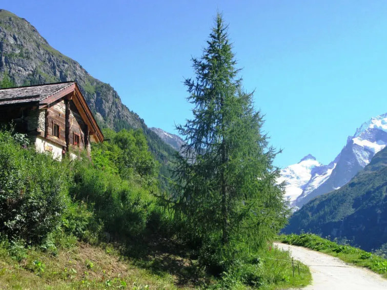 Chalet Epilobes