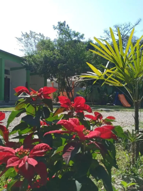 Suites Brejauva