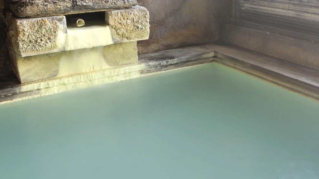 Nasuyumoto Onsen Ryokan Shimizuya