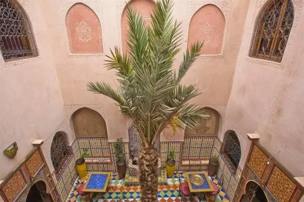 Riad Mostafa