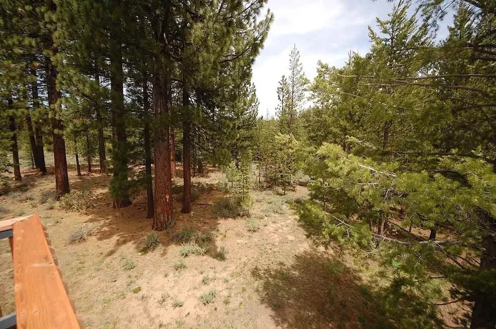 1801 Jicarilla Drive 4 Bedroom Home by RedAwning