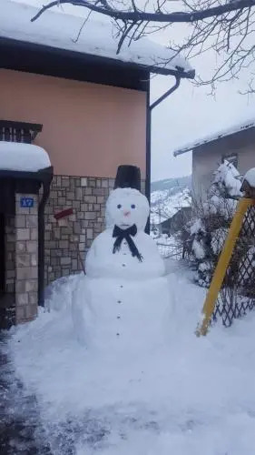 Apartman Romana
