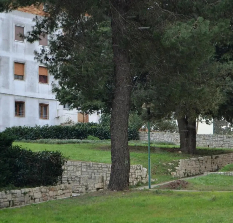 La Casa Di Olga