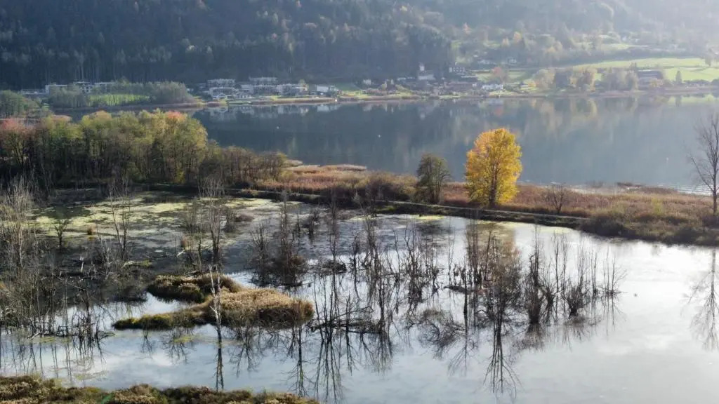 Ferienhaus Natura 2000