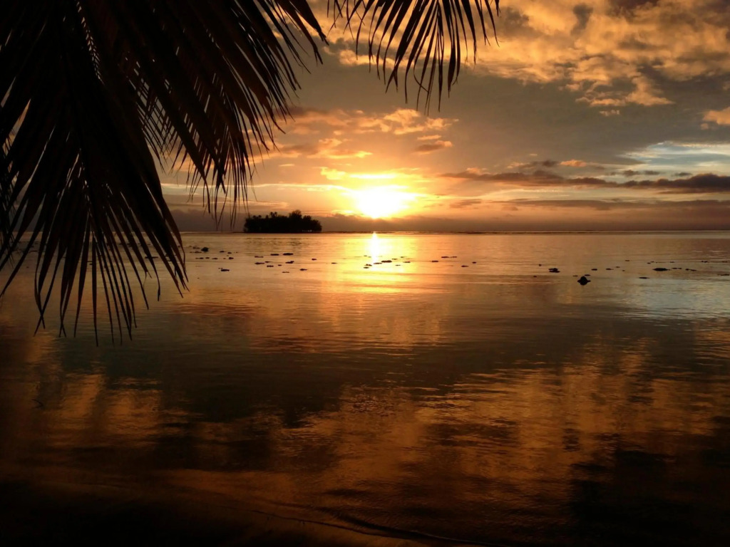 Island Home