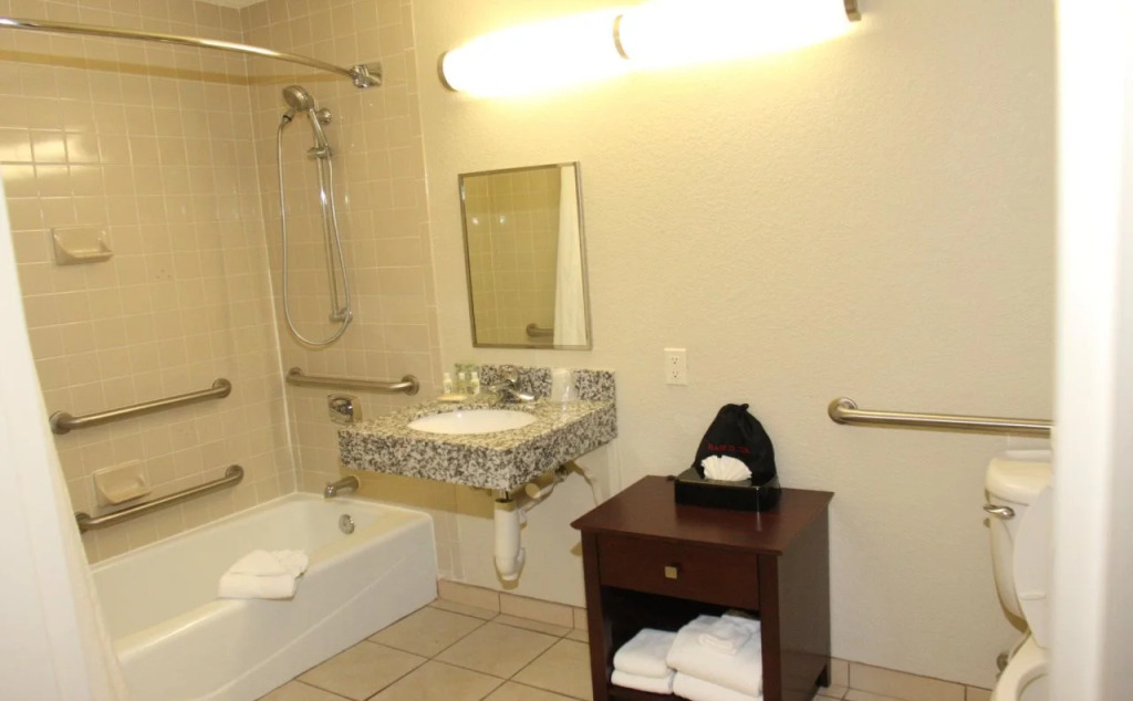 Holiday Inn St. Petersburg N - Clearwater by IHG