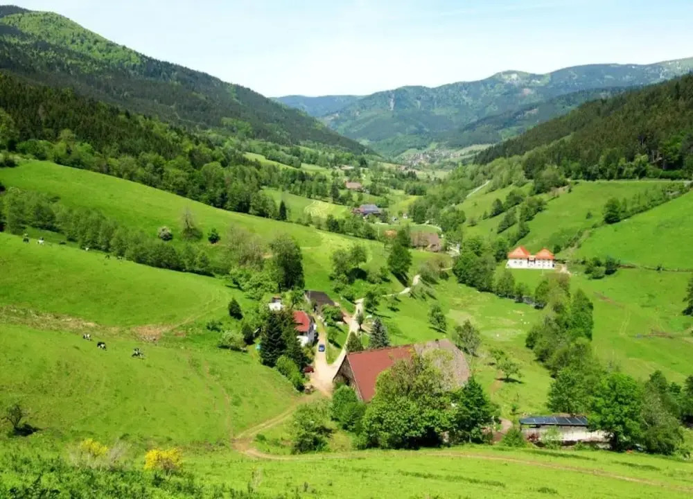 Ferienwohnung, Furtwangen