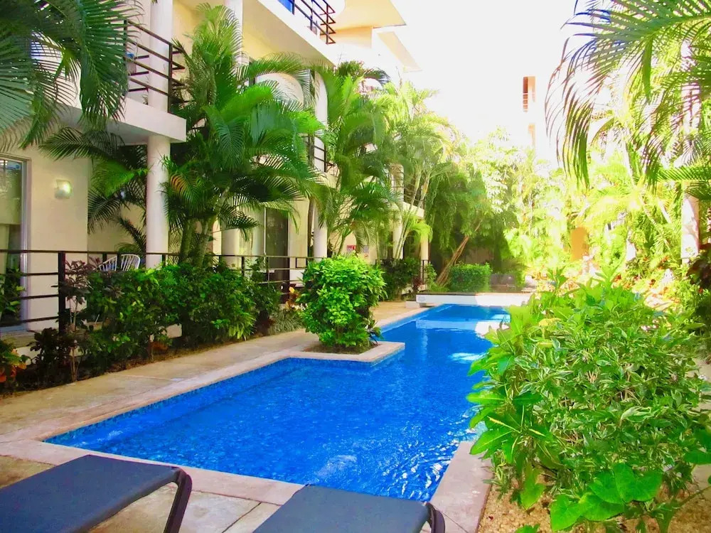 Aqua Terra Palm by Playa Paradise