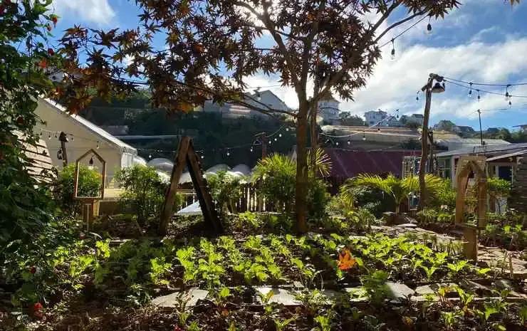 The Burrow Dalat
