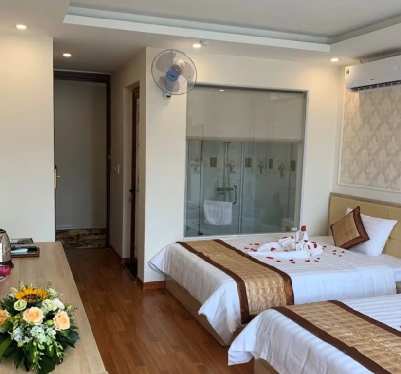 OYO 1120 Hai Anh Vip Hotel