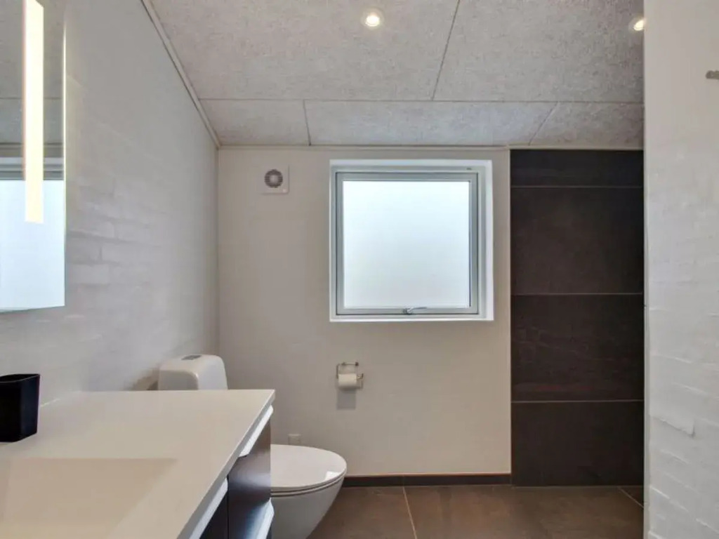 "Alwin" - 750m from the sea in Western Jutland