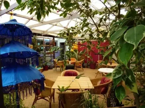 Albany Discovery Inn