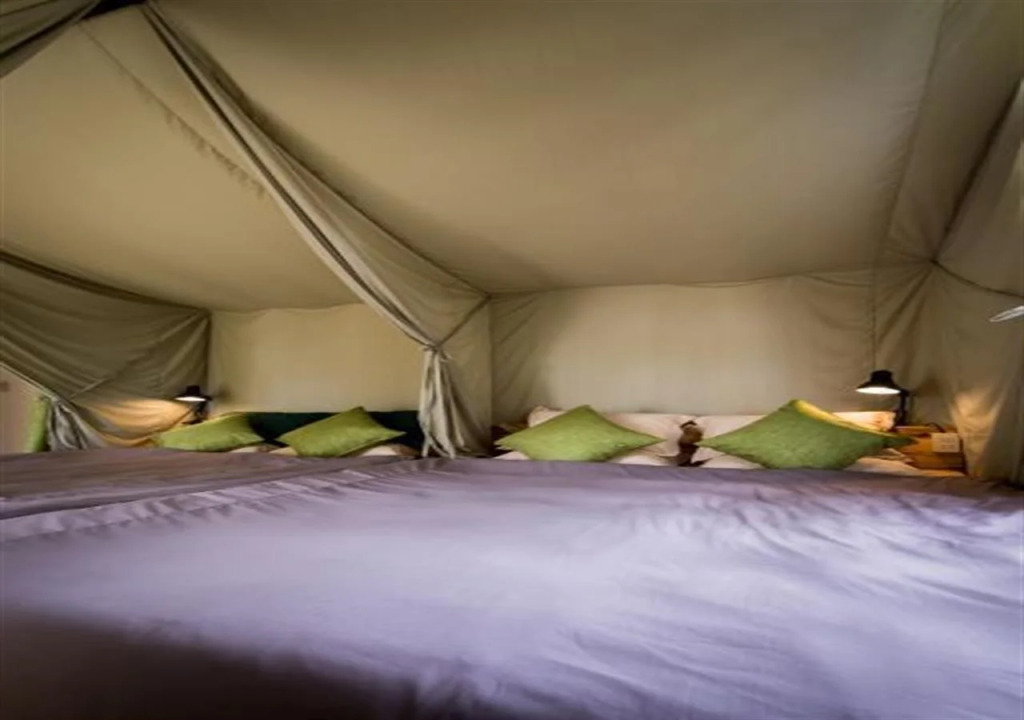 Yolo Camping House - Hostel