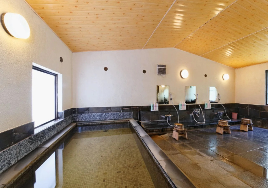 Ashinoko Ichinoyu Hotel