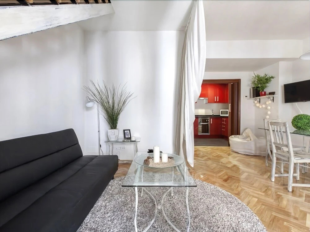 LAVAPIÉS Apartment I (1BR 1BT)