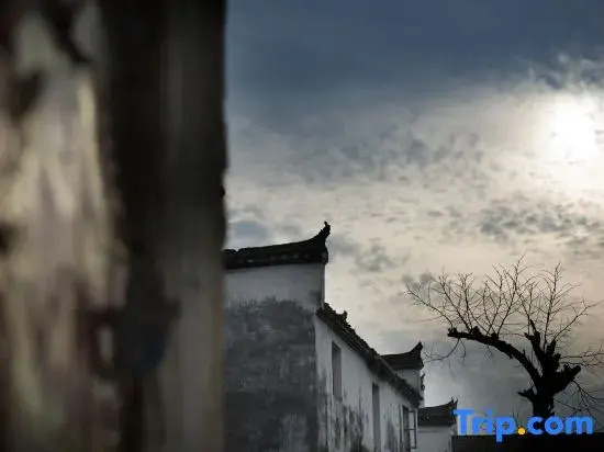 Floral Hotel Leisurely Life Wuyuan