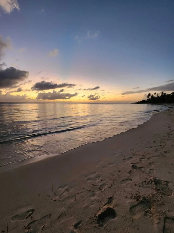 Saona lodge