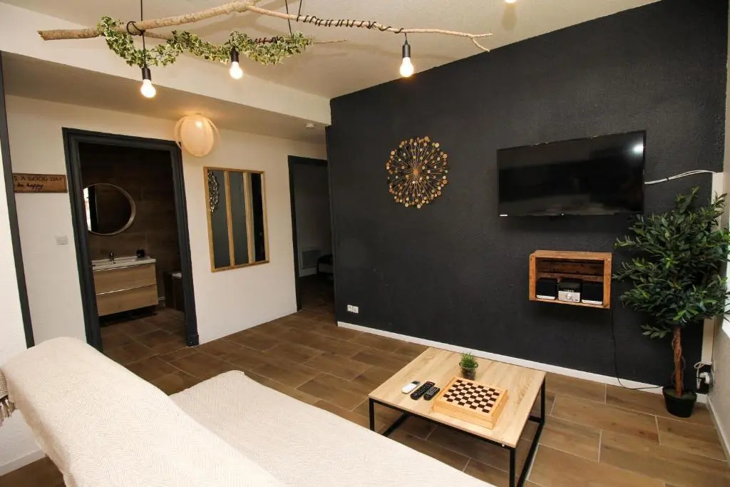 Calme en centre ville, appartement 50m de la Place Carnot