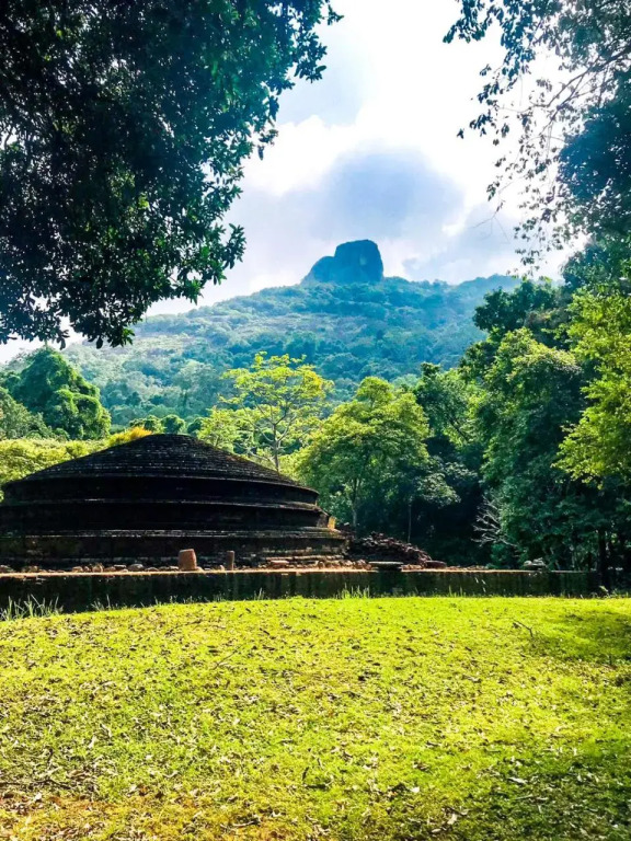 The Rock View Homestay Sigiriya