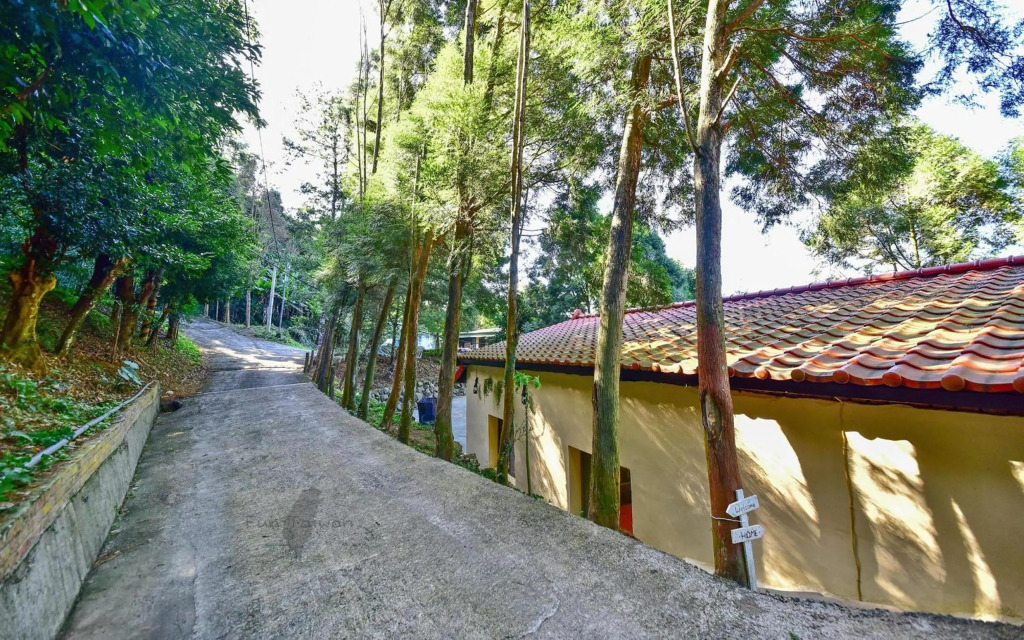 Hillside66