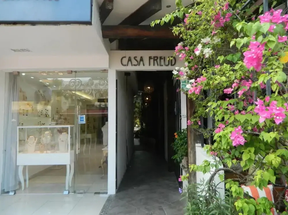 Casa Freud