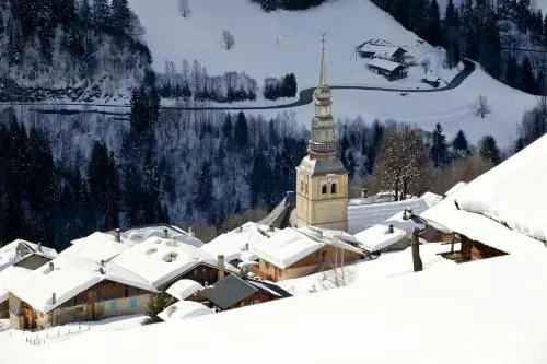 Mont Blanc Lodge Hauteluce