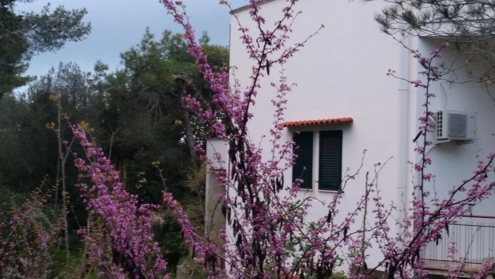 Casa di Maria